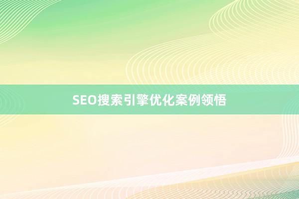 SEO搜索引擎优化案例领悟