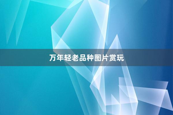 万年轻老品种图片赏玩